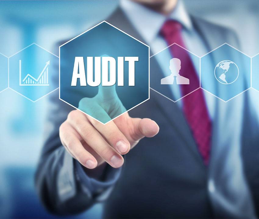 Business Professional Initiating an Audit