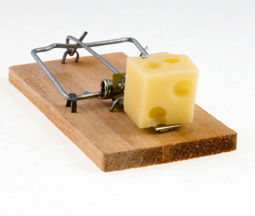 A mousetrap with a piece of cheese on it, symbolizing how a cheap insurance policy can be a trap or bait that
leads to a loss.