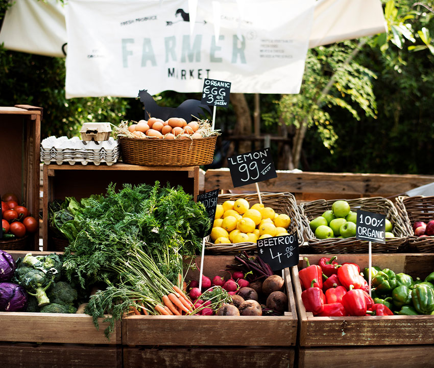 Commercial Insurance for Farmers Markets