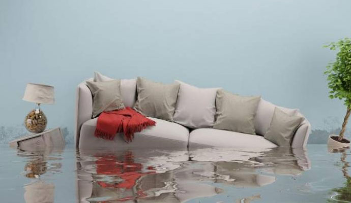 Insurance Coverage for Furniture and Fixtures