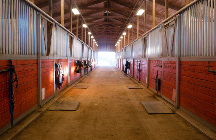 Farm & Ranch