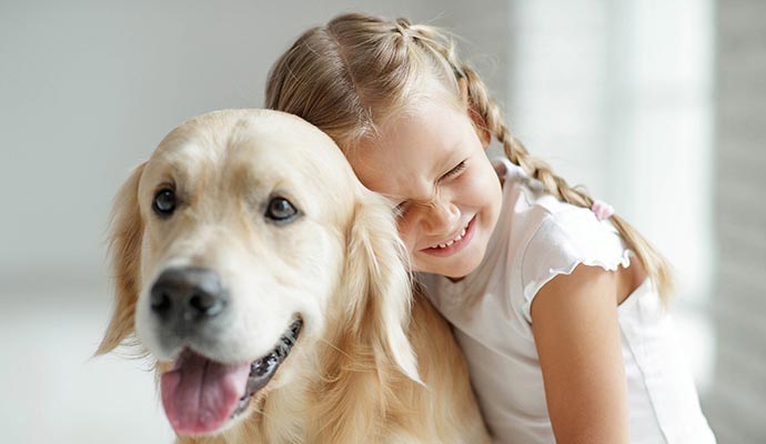 Insurance for Pet & Animal Services in Texas | Quote Texas Insurance
