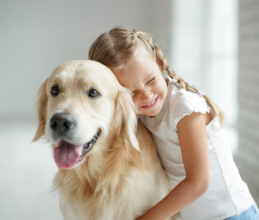 Insurance for Pet & Animal Services in Texas | Quote Texas Insurance