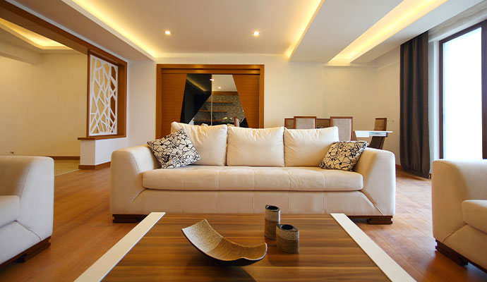 Modern living room furniture and decor