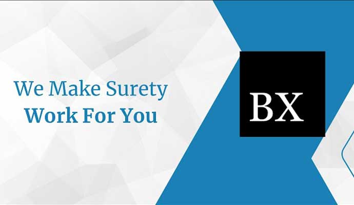 We Make Surety Work For You